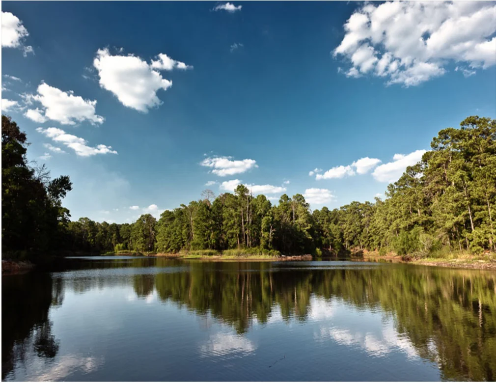 Lost Pines / river photo — Bastrop