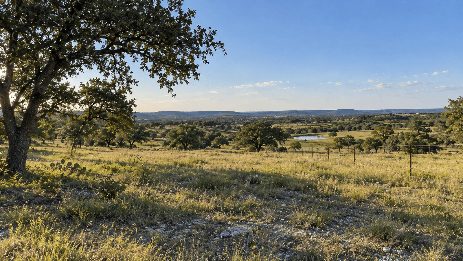 Texas ranch land and pasture with a stock pond at golden hour
